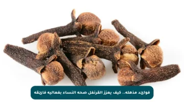 فوائد مذهلة.. كيف يعزز القرنفل صحة النساء بفعالية فائقة